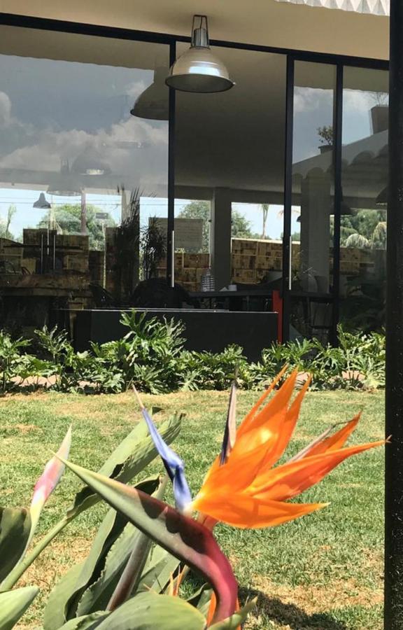 Calido Cosmos Hotel Cholula Ngoại thất bức ảnh